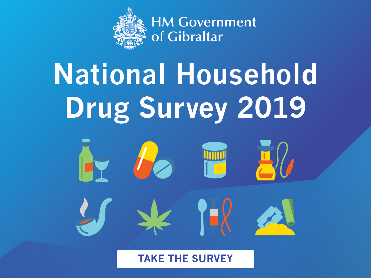 National Household Drug Survey 2019 Image